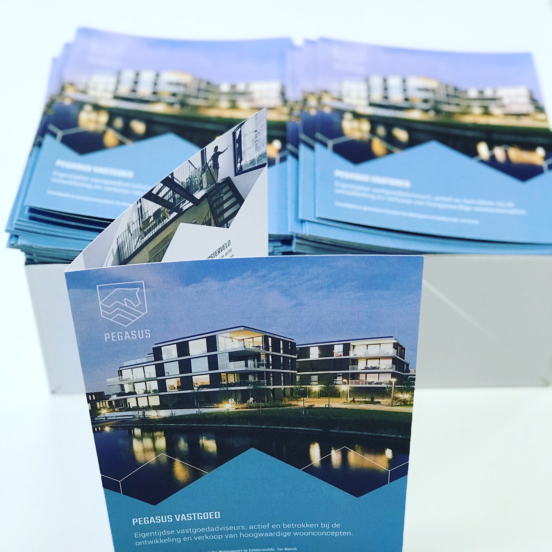 Brochure Pegasus Vastgoed