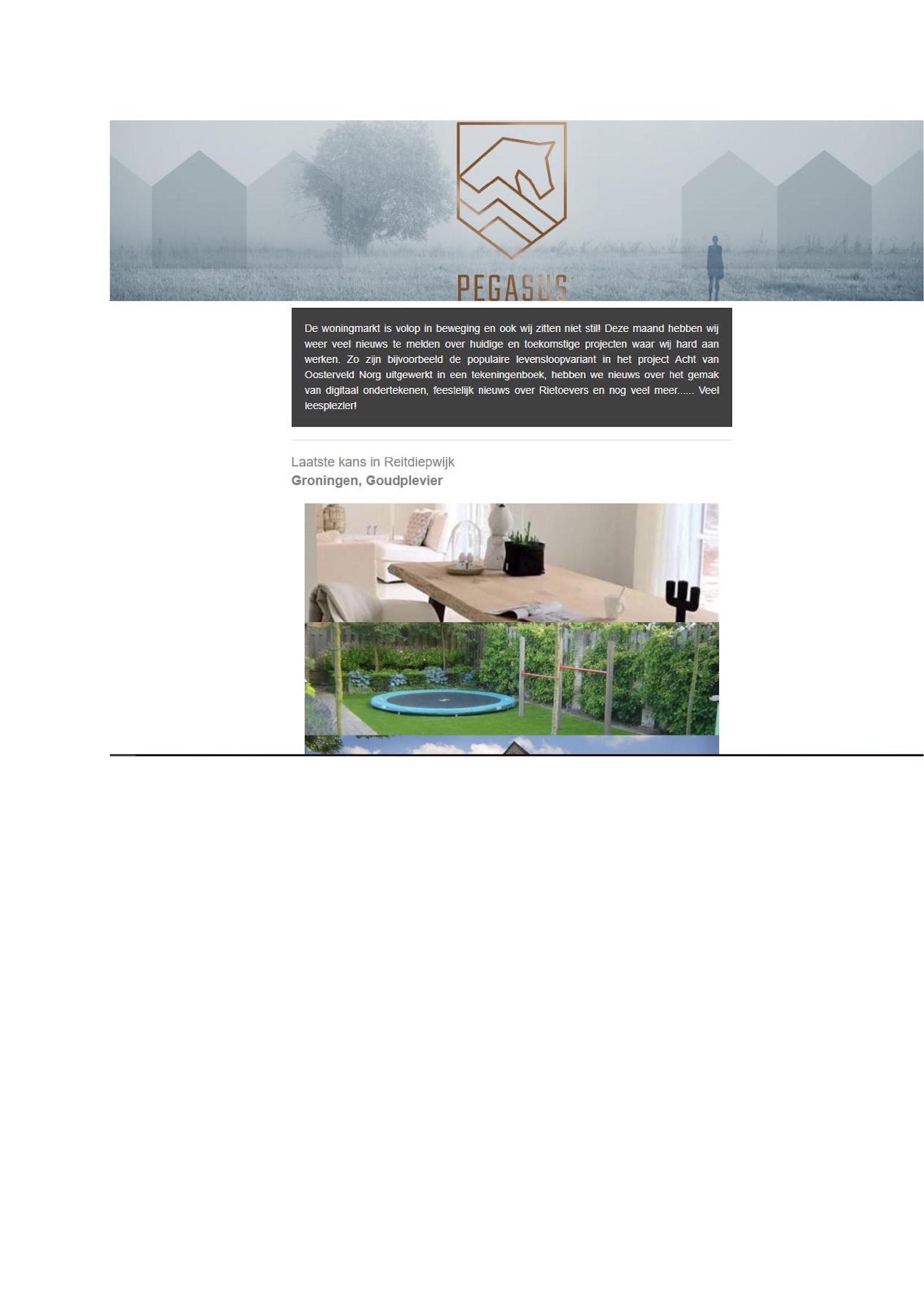 Pegasus Nieuwsbrief november 2018