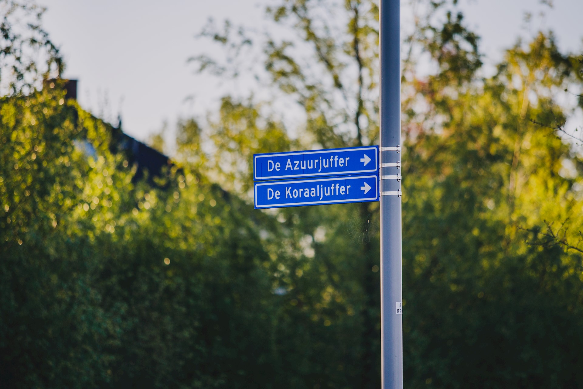 Sfeerreportage Eelderwolde Ter Borch-28.jpg