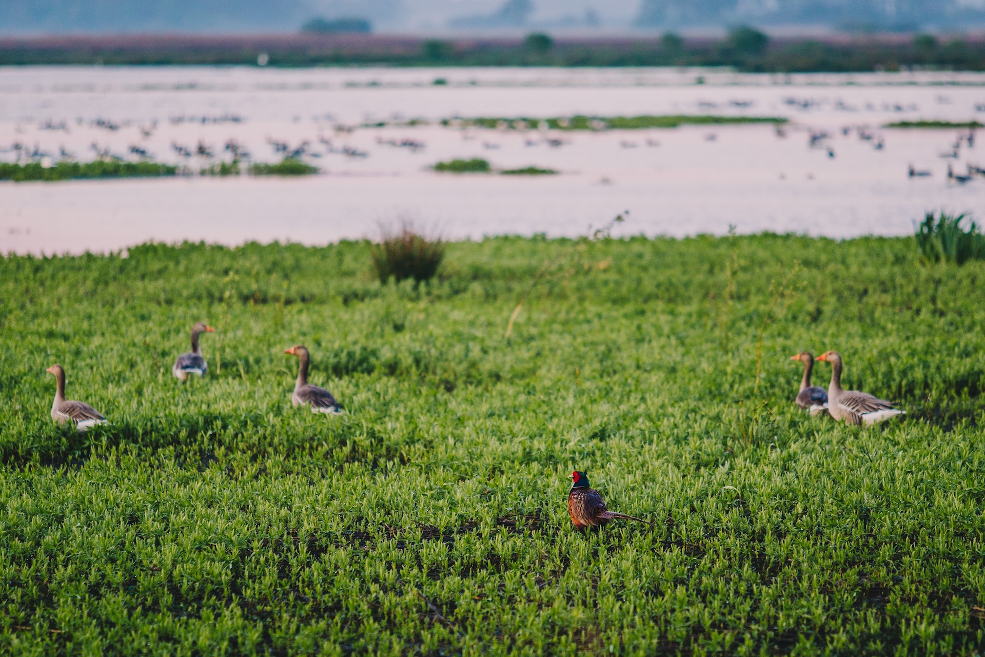 Sfeerreportage Eelderwolde Ter Borch-1.jpg