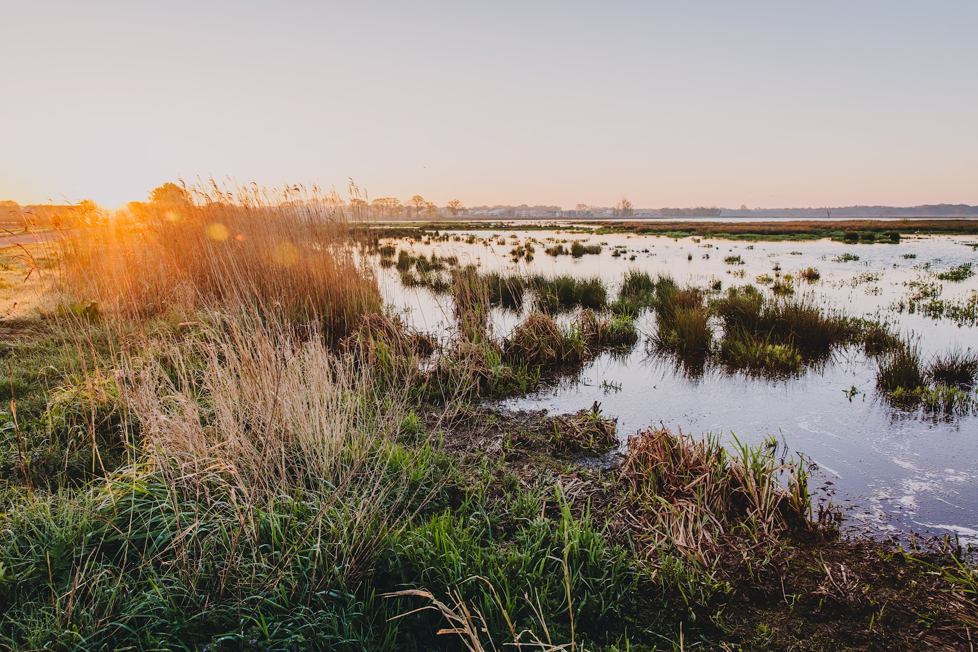 Sfeerreportage Eelderwolde Ter Borch-6.jpg