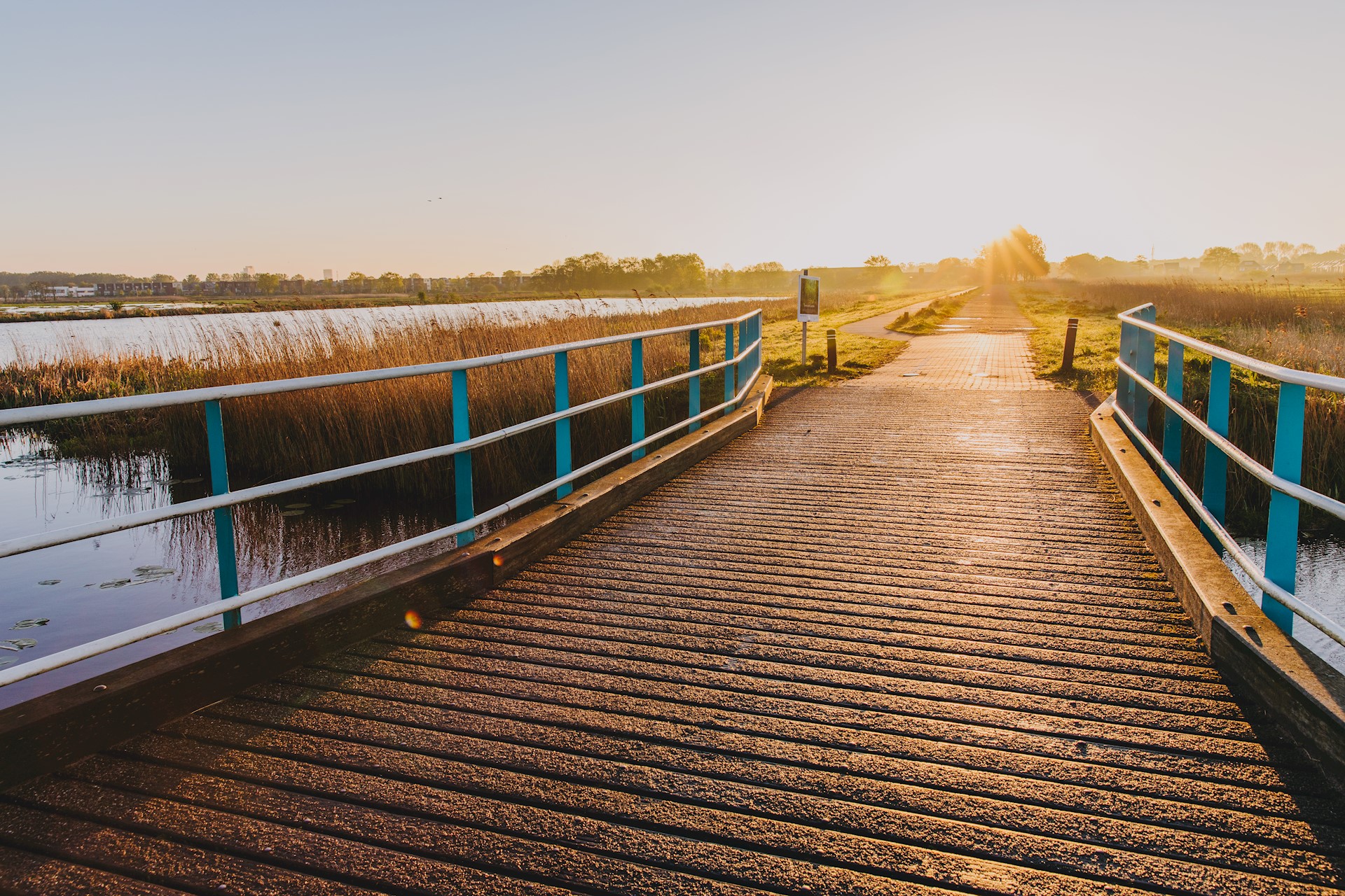 Sfeerreportage Eelderwolde Ter Borch-13.jpg