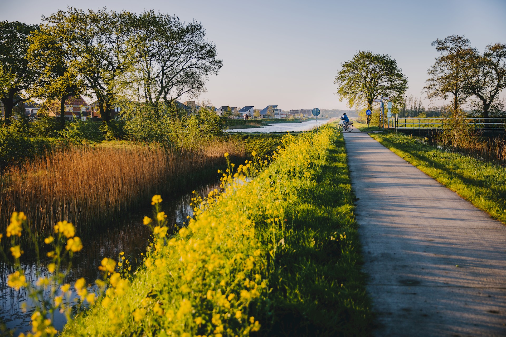 Sfeerreportage Eelderwolde Ter Borch-18.jpg